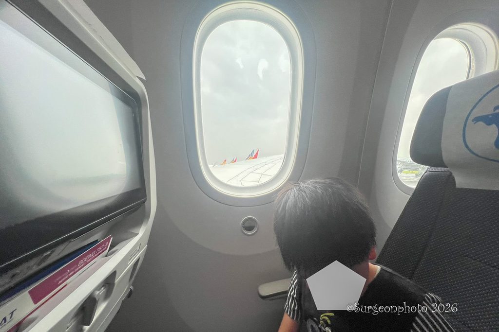 MIATモンゴル航空 座席43列からの機窓