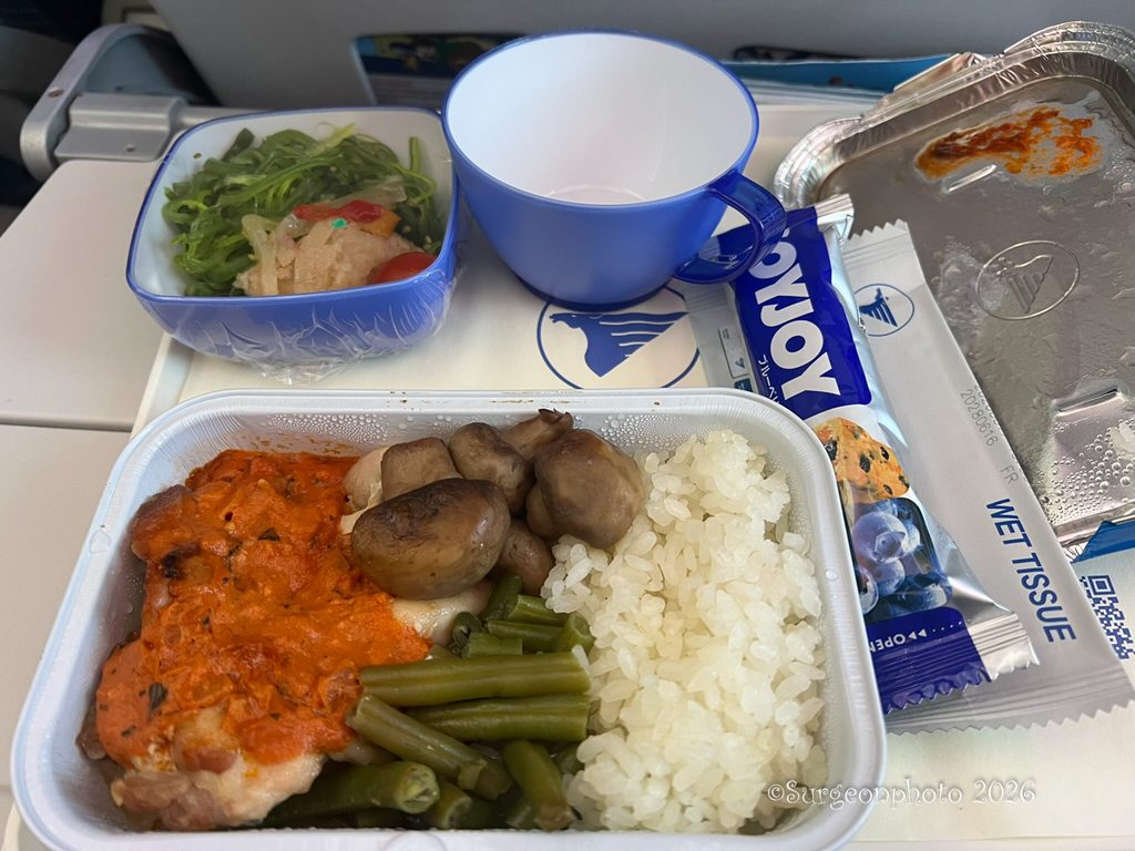 MIATモンゴル航空 エコノミークラス 機内食 チキン