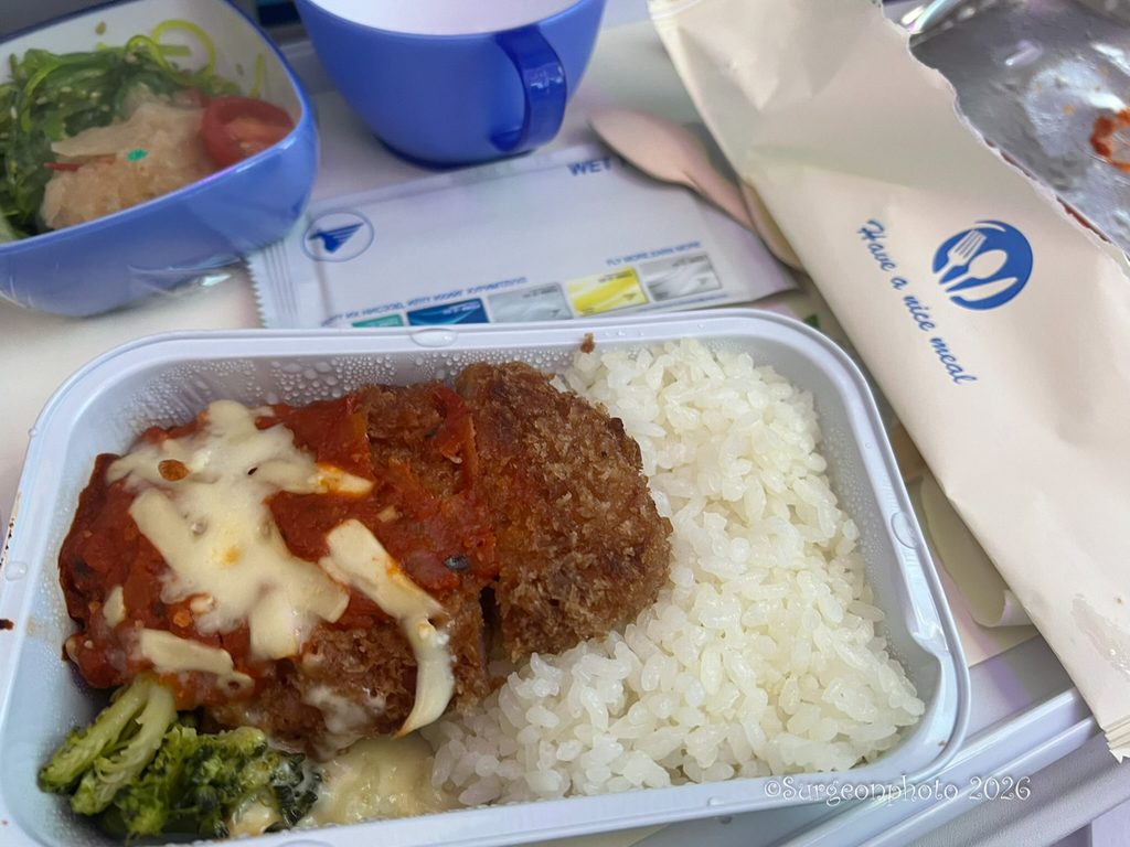 MIATモンゴル航空 エコノミークラス 機内食 ポーク