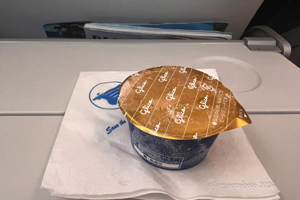 MIATモンゴル航空 機内食 アイス