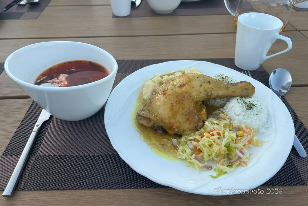 鶏もも肉に白いご飯、マッシュポテト、サラダ