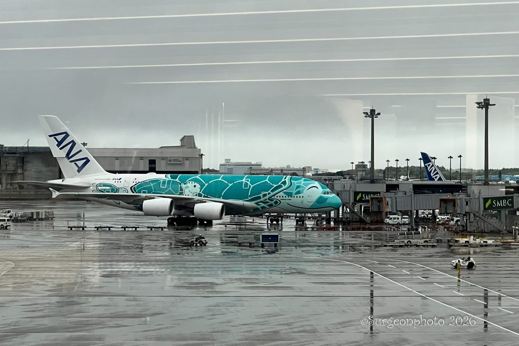 成田空港第1ターミナルから見たANAのA380 FLYING HONU