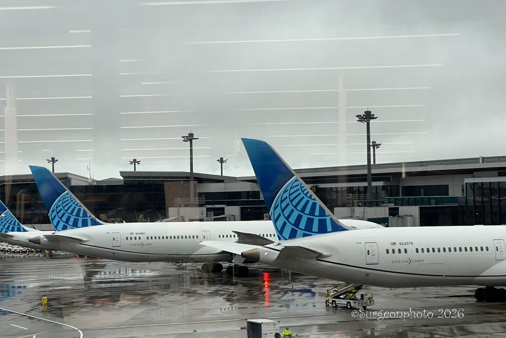 成田空港第1ターミナルに並ぶユナイテッド航空のB787