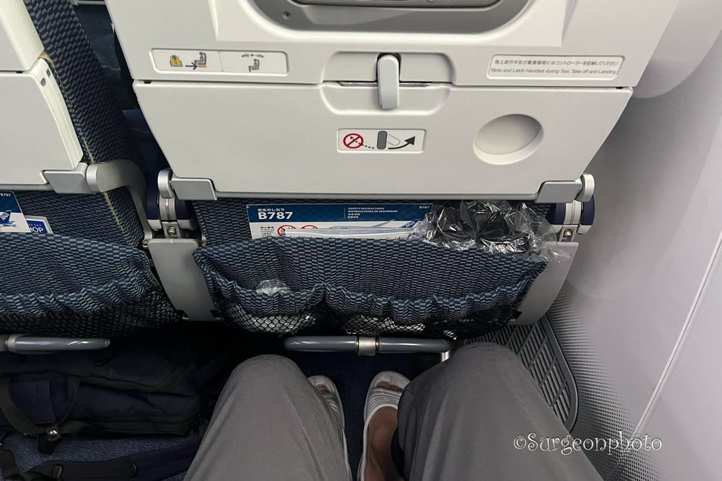 ANA B787-9エコノミークラス30Kの足元