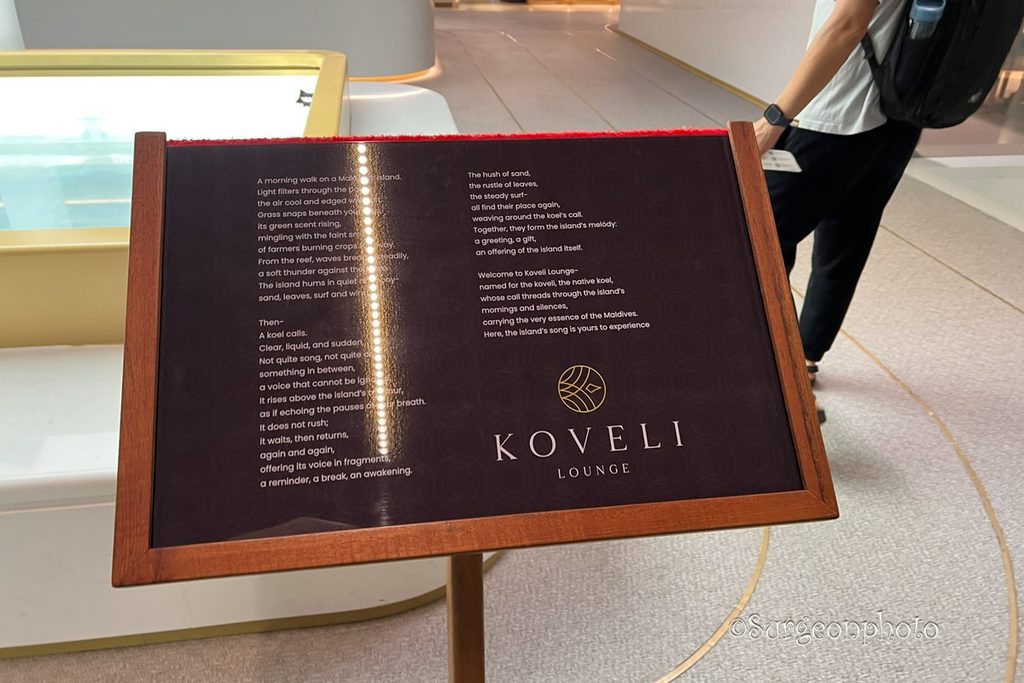 ヴェラナ国際空港KOVELI Loungeのレセプションエリア