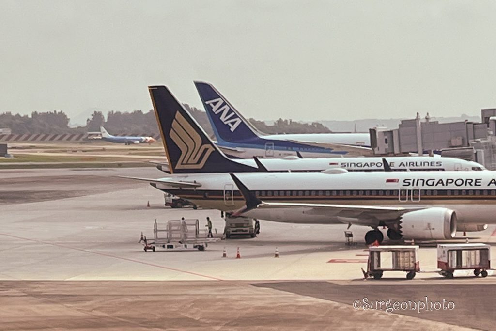 チャンギ空港で見えたANAとシンガポール航空の駐機中の航空機
