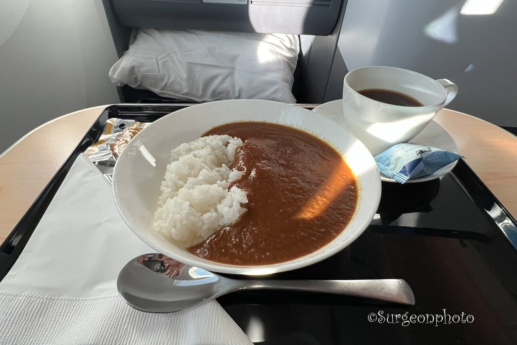 ANA NH842で提供された果実とスパイス香るヴィーガンカレー